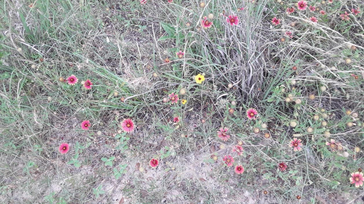 20250516_090308.jpg