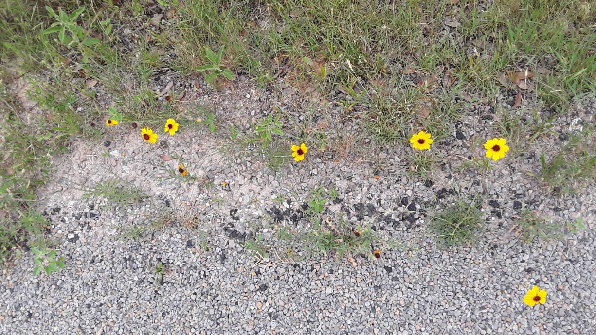 20250516_090328.jpg