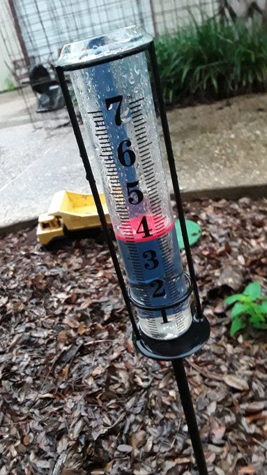 4rain 6.15.jpg