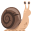:snail: 🐌