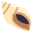 :shell: 🐚
