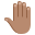 :raised_back_of_hand_medium_skin_tone: 🤚🏽