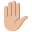 :raised_hand_medium-light_skin_tone: ✋🏼